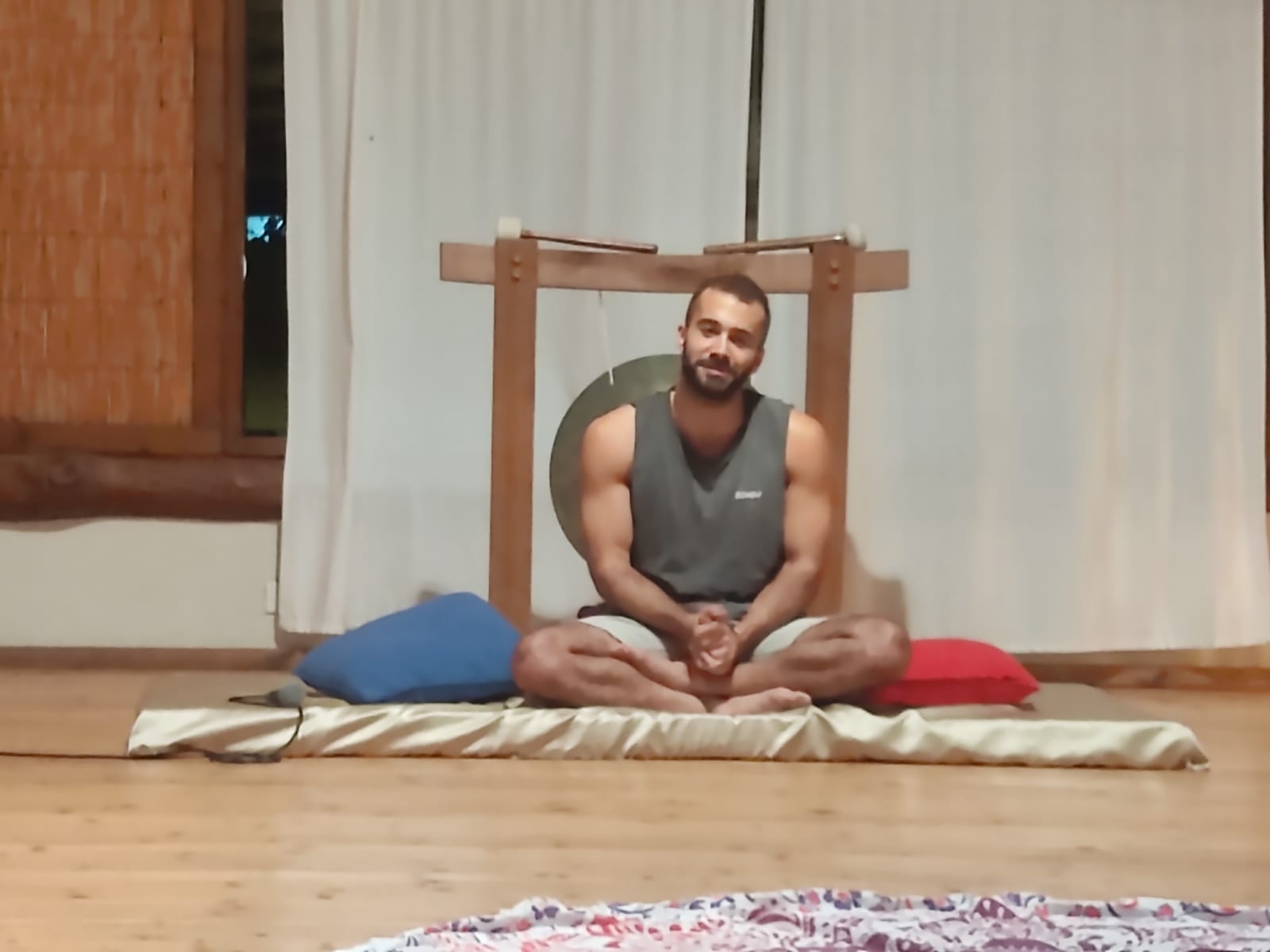 טרילותרפיה